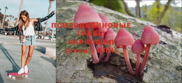 мяу мяу мука Баксан
