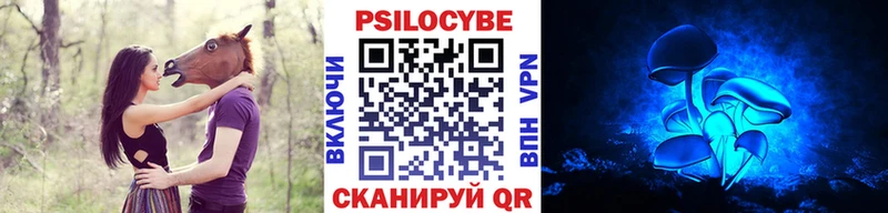 Галлюциногенные грибы MAGIC MUSHROOMS  Черногорск 